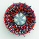 Spidery Poppy wall piece