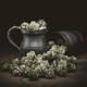Hop and Jug by Roy Matthews