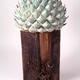 Teasle head