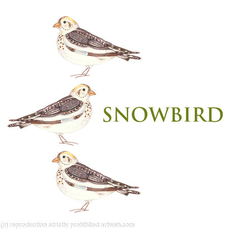 Snowbird