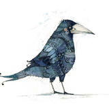 Inky Raven - pen and ink with watercolour