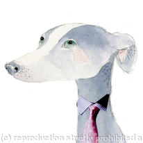 Business Dog