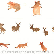 bears hares and foxes