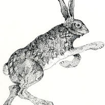 Hare