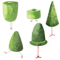 Leggy Trees