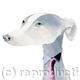 Business Dog | | | watercolour Business Dog