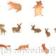 bears hares and foxes