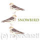 Snowbird