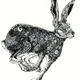 Running Hare