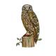 Owl Wearing Boots