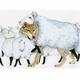 Wolf in Sheep's Clothing