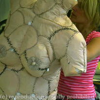Scarred Venus 2003