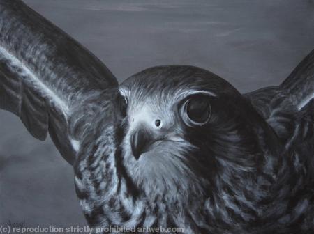 taking flight