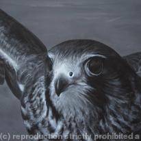 taking flight