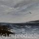 freebird
