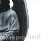 angelus custos