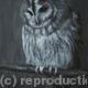 slightly ruffled