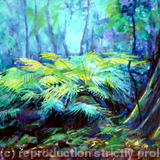 woodland with ferns - Acrylic in board