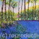 Bluebell Woods