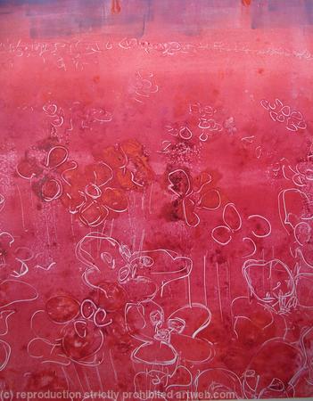Pink Poppy Field