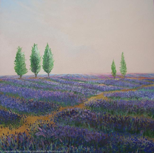 Lavender