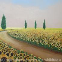 Sun Flower Fields