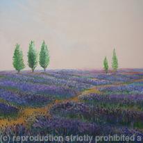 Lavender Waves