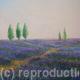 Lavender Waves