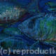 Big Fish Little Fish