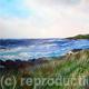 Summer Breeze- Hayle…
