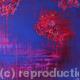 Pink flora (Charity…