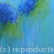 Blue Bloom
