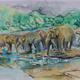 Sri Lanka | £60 | 61 x 56cm | Giclee Print Sri Lanka