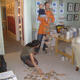 Setting up the exhibition