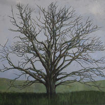 Winter Tree 1 (Oak)