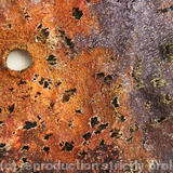 Once detail - Textile