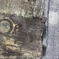 Tide Detail