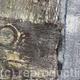 Tide Detail
