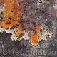 Ardwick detail