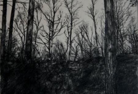 Tree Drawing 2