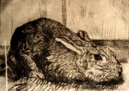 Rabbit 2