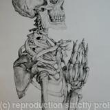 Skeleton Study 5 - 