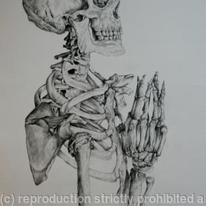 Skeleton Study 5