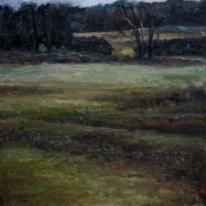 Land (Sutton Park)