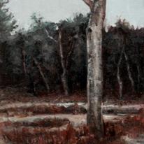 Silver Birch.