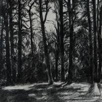 Tree Drawing 1