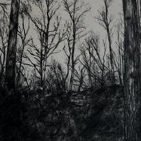 Tree Drawing 2