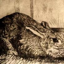 Rabbit 2