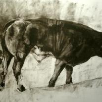 Bull Drawing 1
