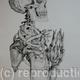 Skeleton Study 5